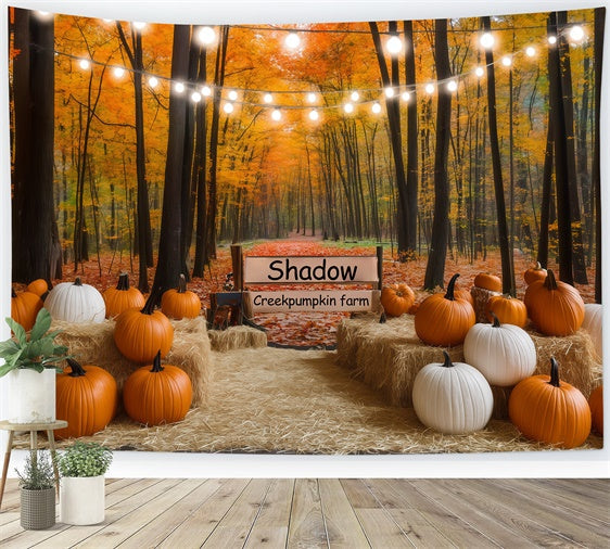 Herbst Wald Backdrop Lichter Kürbis Pfad Fotohintergrund BRP57-177