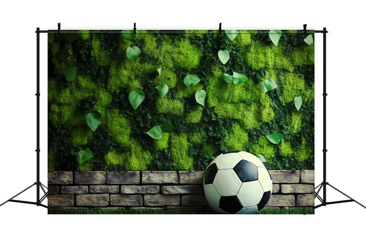 Fußball-Fotohintergrund Mooswand Fußball-Hintergrund BRP57-296