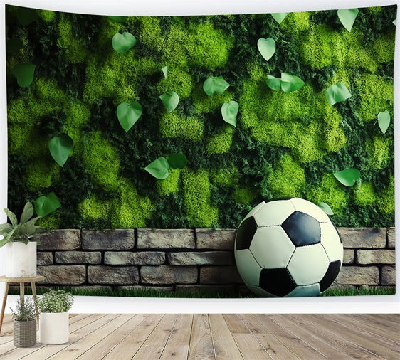 Fußball-Fotohintergrund Mooswand Fußball-Hintergrund BRP57-296
