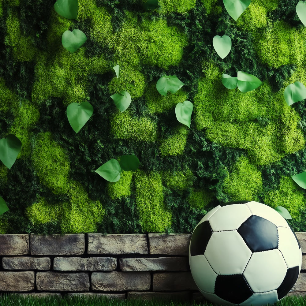 Fußball-Fotohintergrund Mooswand Fußball-Hintergrund BRP57-296