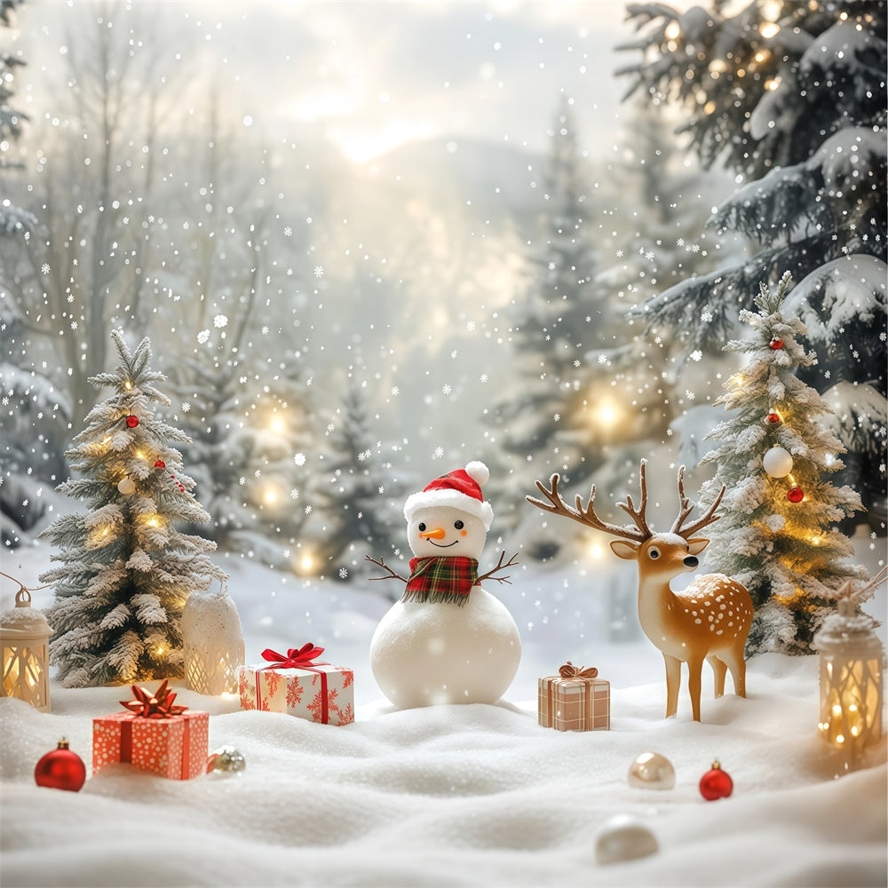 Schneekulisse Gemütlicher Schneemann Geschenk Weihnachts Foto Hintergrund BRP57-381