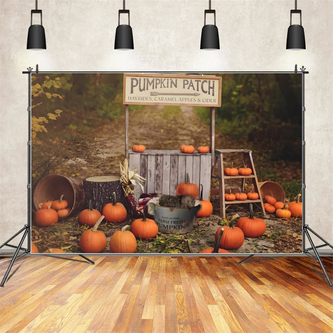 Kürbis Stand Herbst Fotografie Hintergrund BRP7-120
