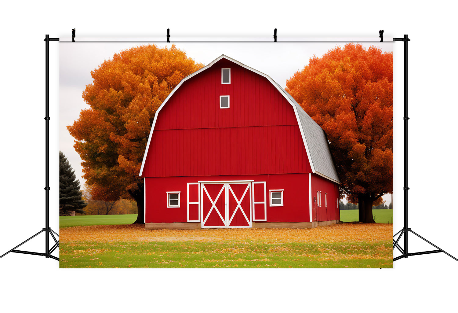 Rotes Haus Ahornblatt Wiese Herbst Kulisse BRP7-128