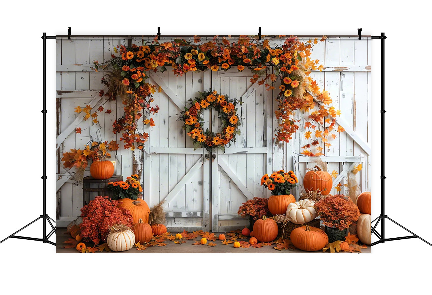 Herbstkürbis Ahornblatt Weißer Wandhintergrund BRP7-129