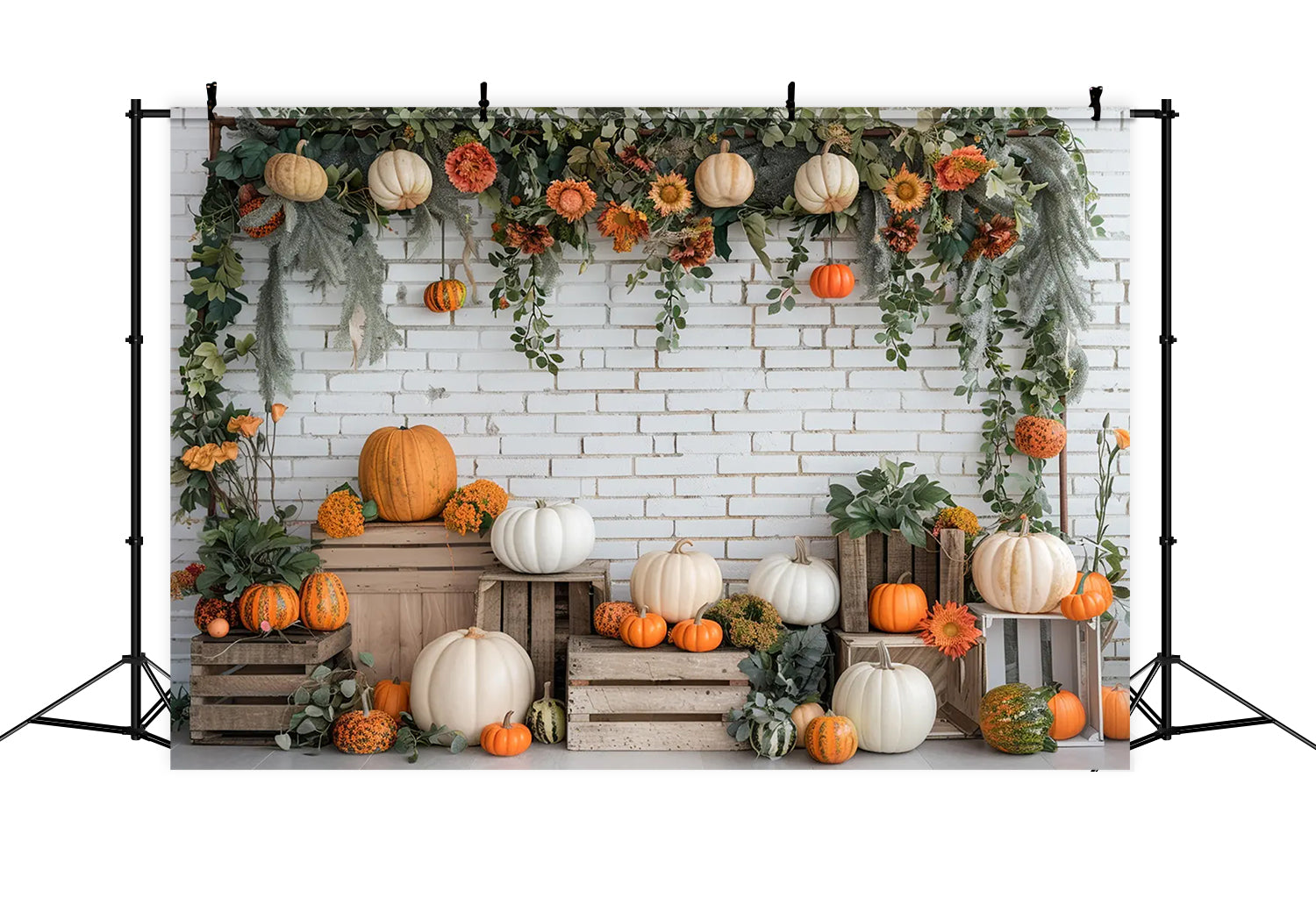 Herbst Kürbis weiß Backstein Kürbis Stand Hintergrund BRP7-140