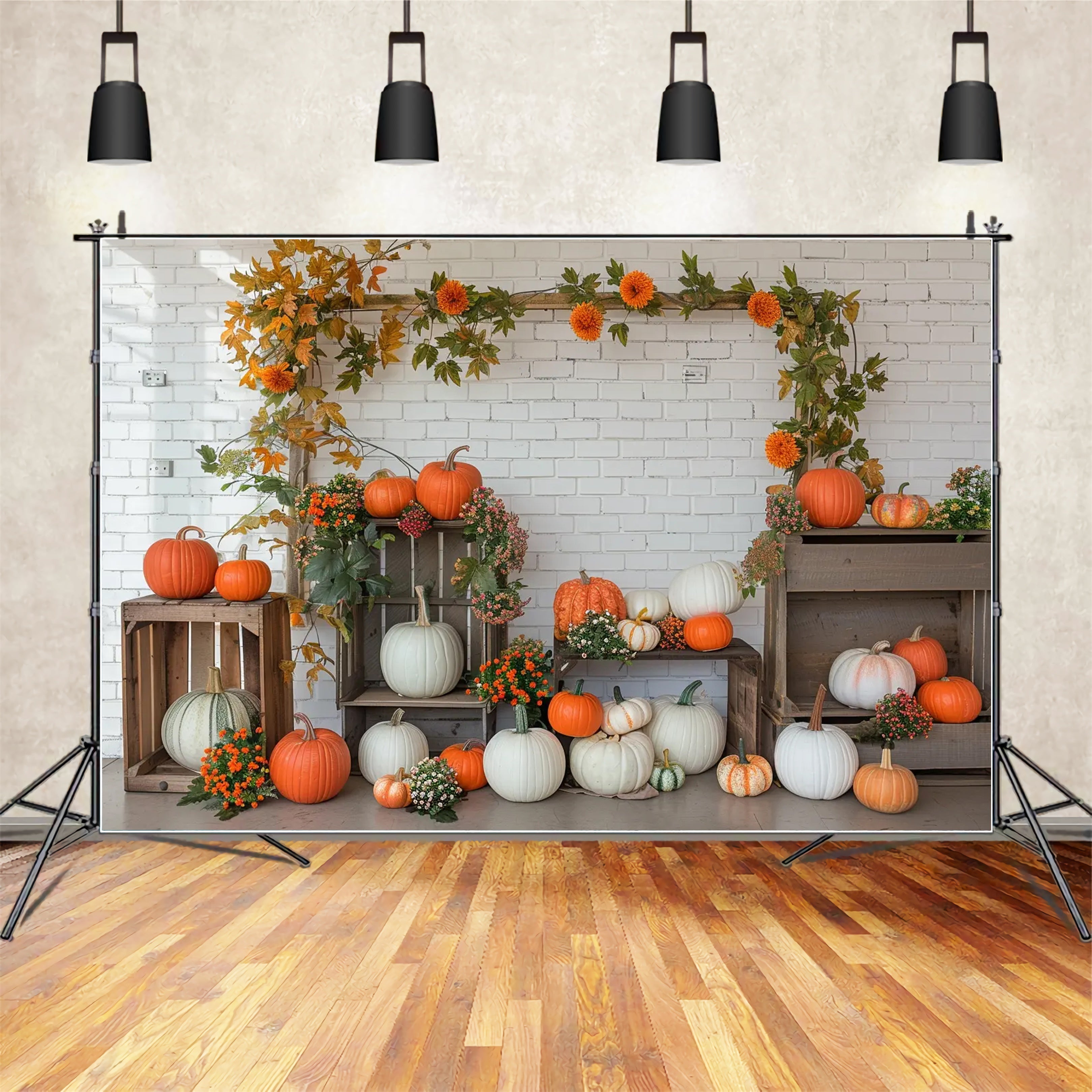 Herbst Kürbis Regal Weiße Wand Fotografie Hintergrund BRP7-141