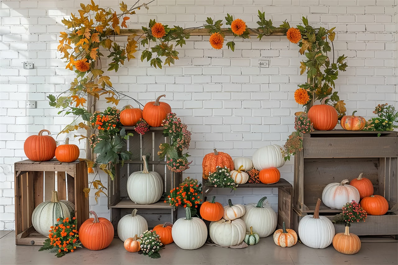 Herbst Kürbis Regal Weiße Wand Fotografie Hintergrund BRP7-141
