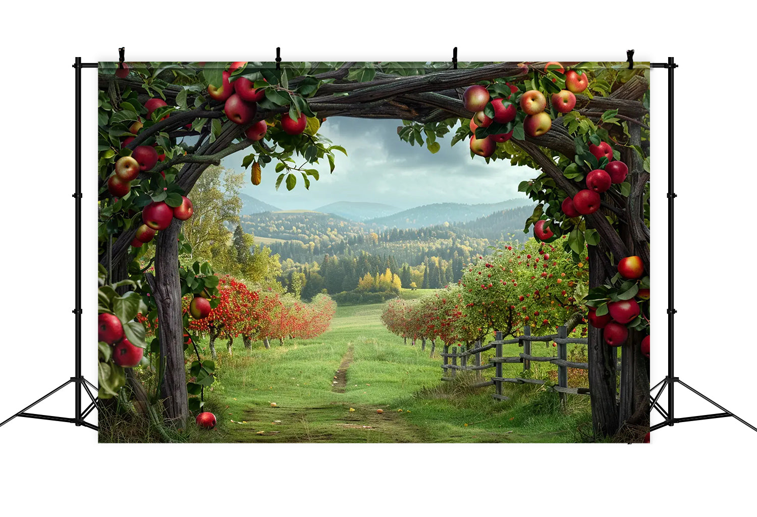 Herbst Apfel Bogen Bauernhof Berg Fotografie Hintergrund BRP7-142