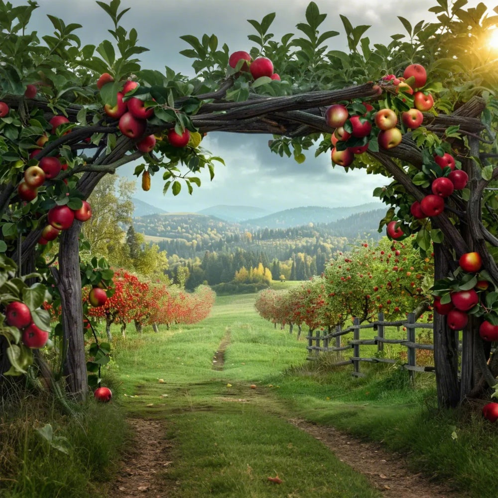 Herbst Apfel Bogen Bauernhof Berg Fotografie Hintergrund BRP7-142