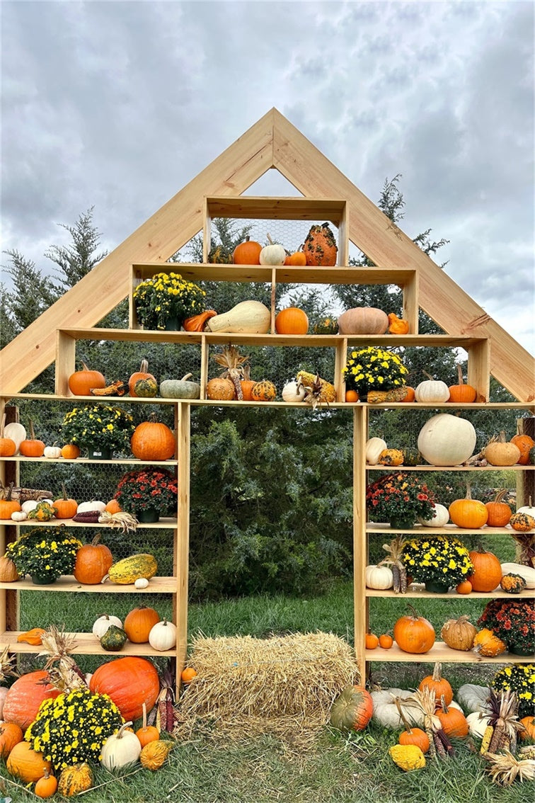 Rustikaler Kürbis Display Herbst Hintergrund für Fotografie BRP7-208