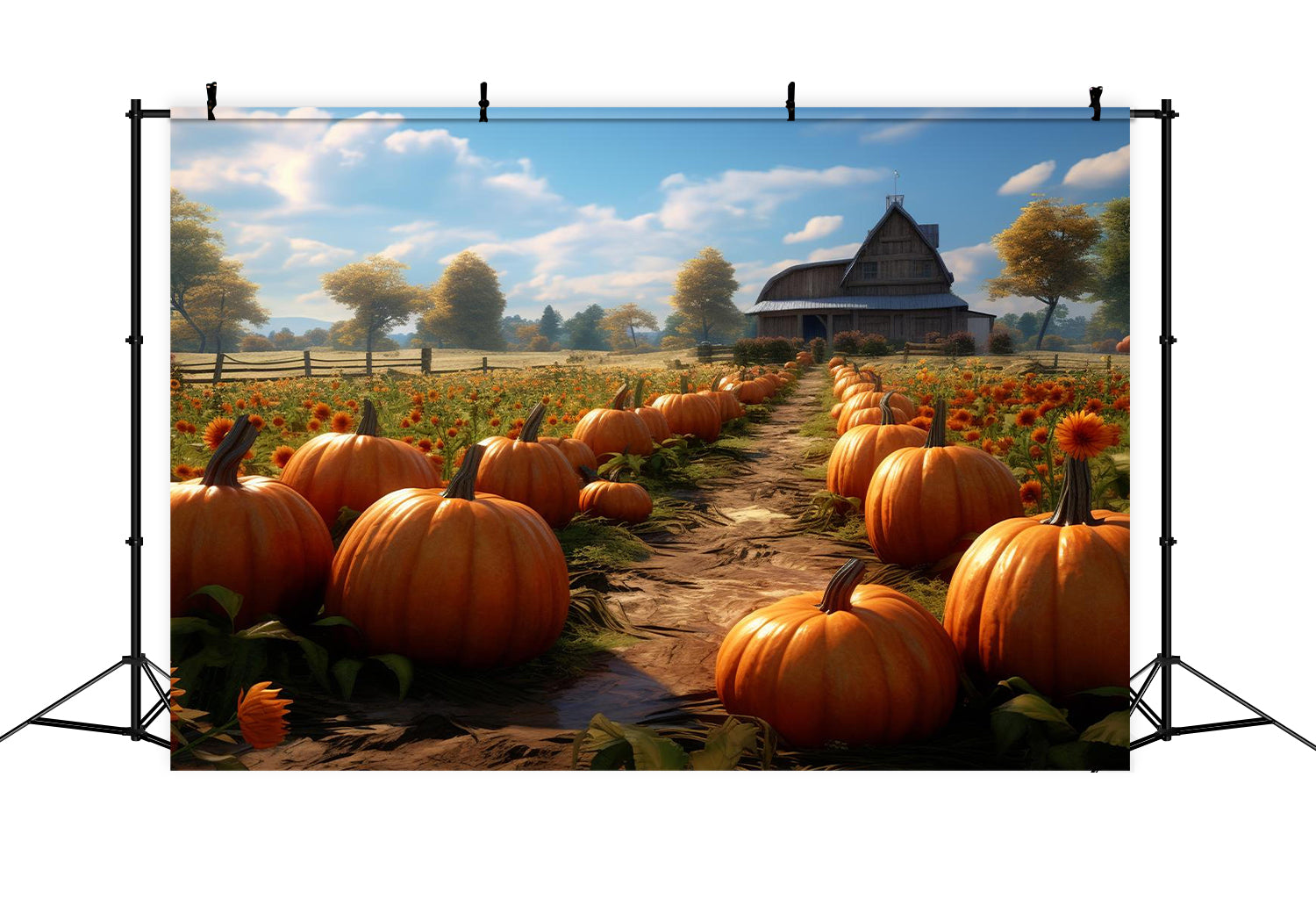 Kürbis Bauernhof Herbst Kulisse für Fotografie BRP7-70