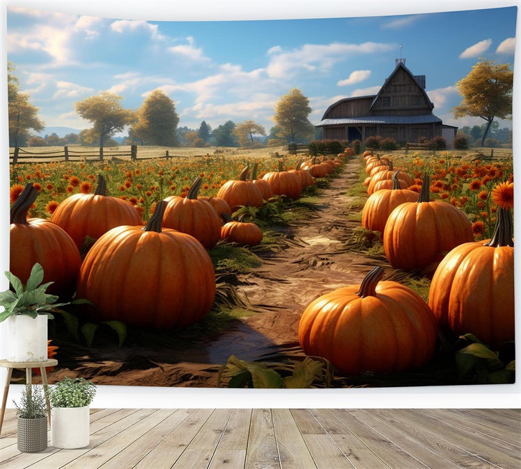 Kürbis Bauernhof Herbst Kulisse für Fotografie BRP7-70