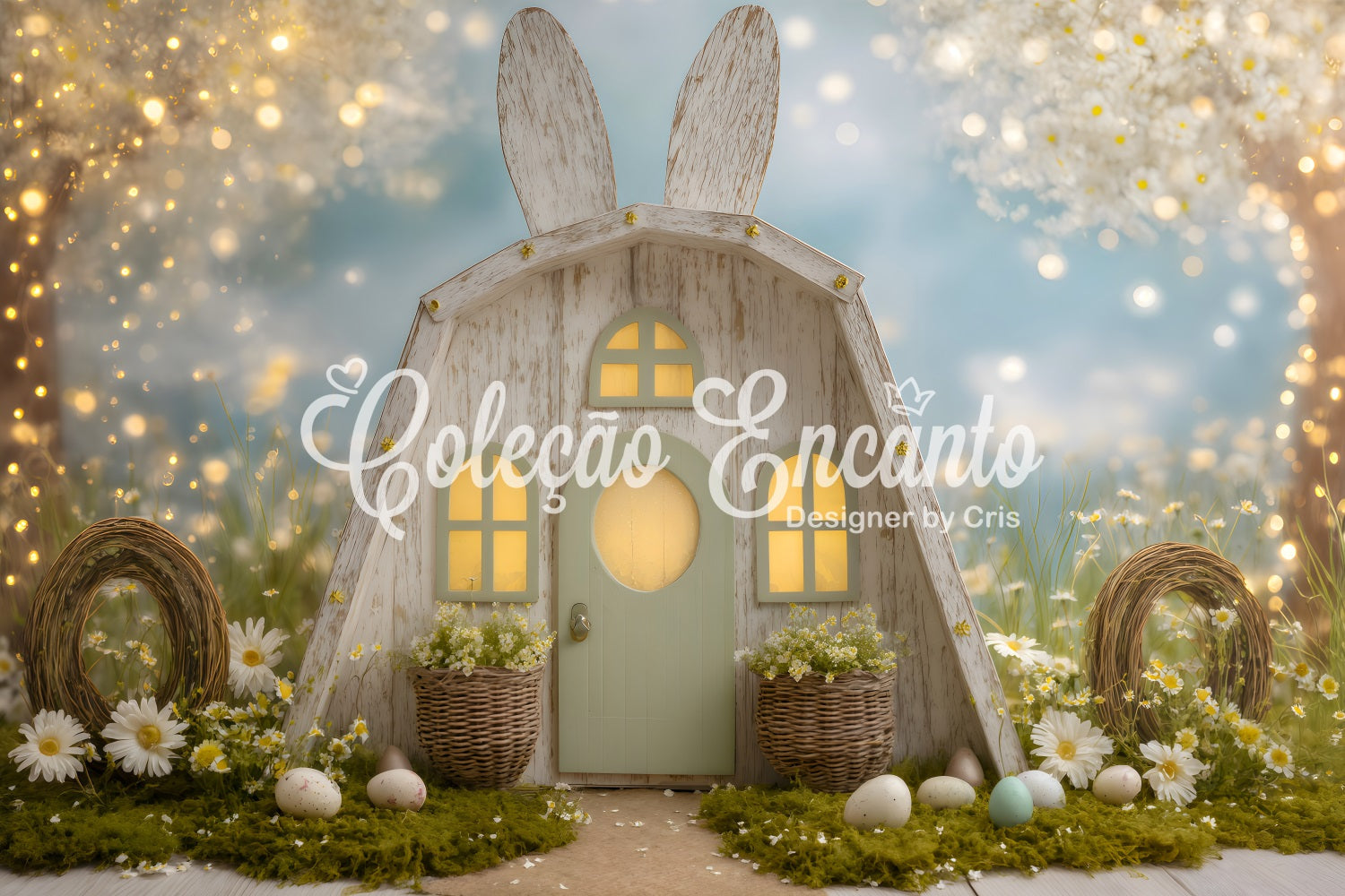 Ostern Gänseblümchen Hintergrund Ohren Tür Zweigkränze Ostern Hintergrund Fotos von Magali