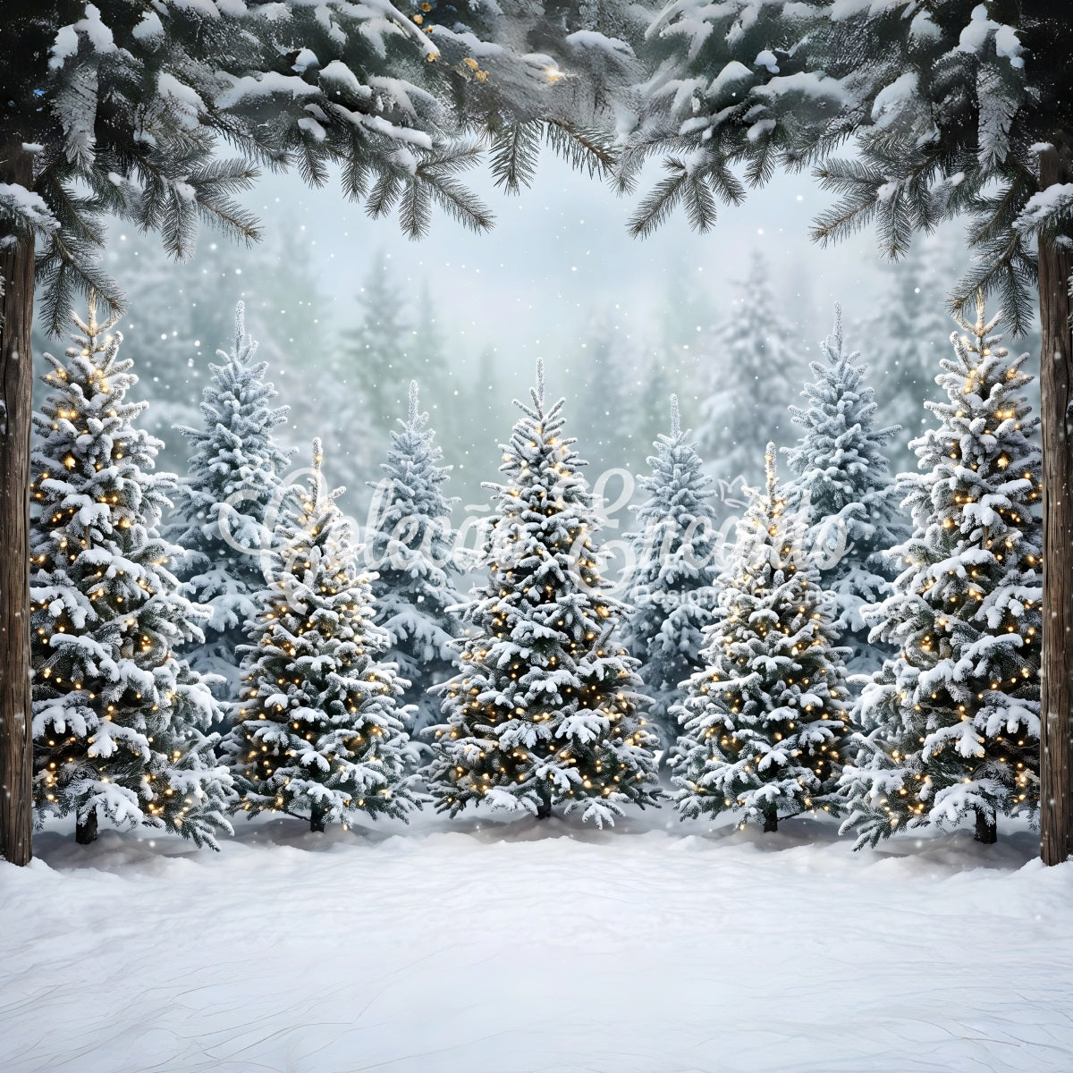 Winter Wald Szene Schnee Tanne warmes Licht Fotobox CEM65-182