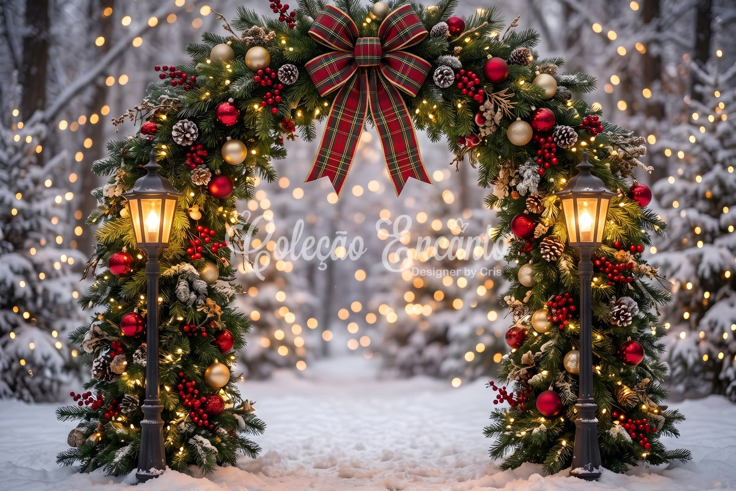 Weihnachten Fotohintergrund Verschneiter Wald Kranz Bogen Kulisse CEM65-71