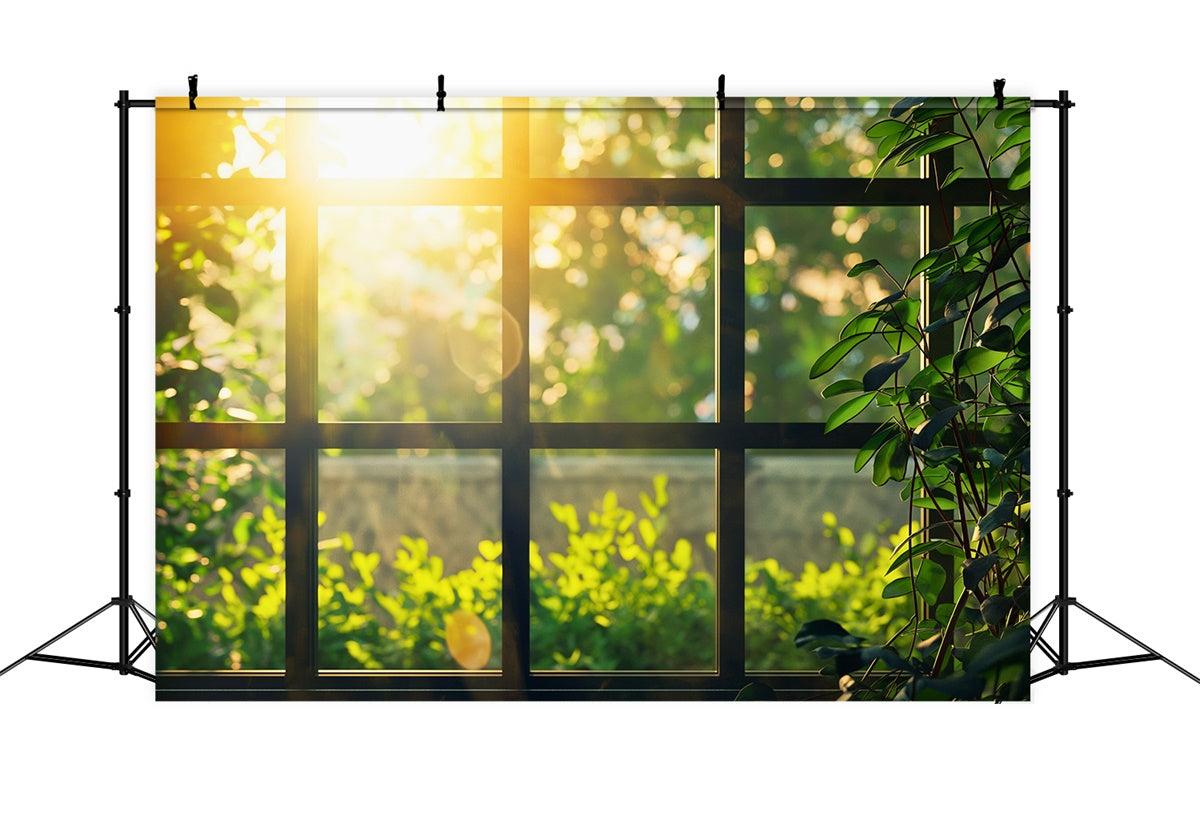 Fotografie Backdrops Wald Sonnenlicht Grün Gemütlich Fenster Hintergrund CJJ2-29