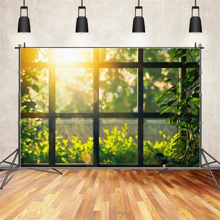 Fotografie Backdrops Wald Sonnenlicht Grün Gemütlich Fenster Hintergrund CJJ2-29
