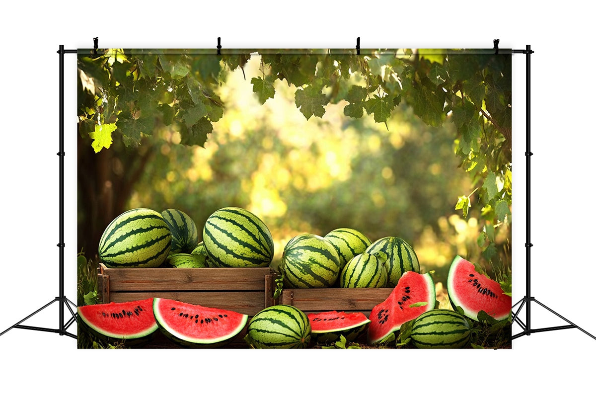 Wassermelone Fotokulisse Sonnenschein Wald Wassermelone Sommer Kulisse CJJ3-257