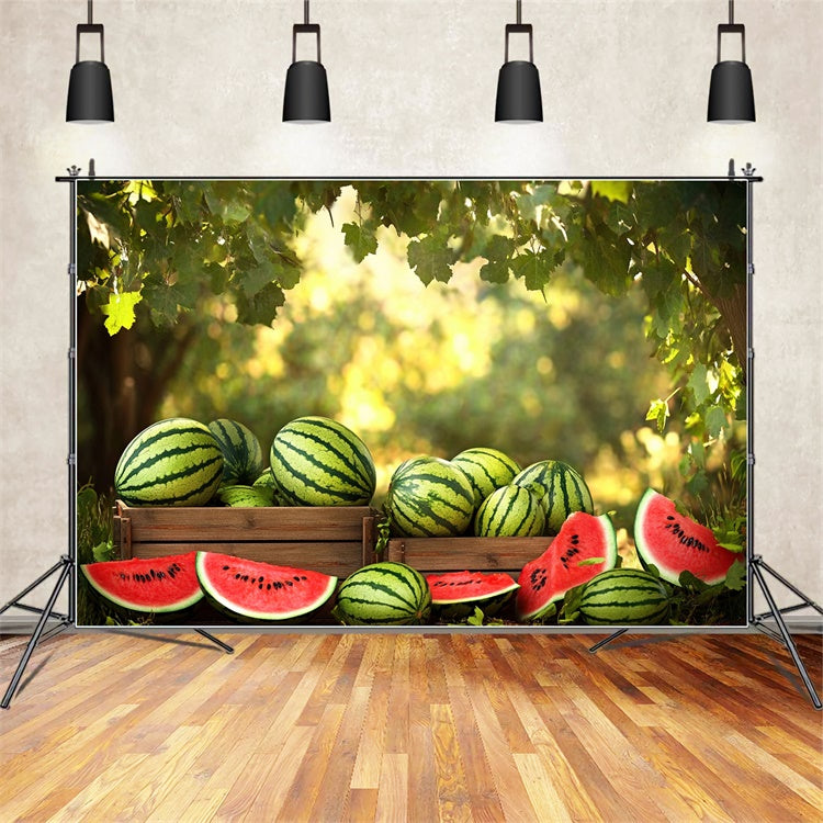 Wassermelone Fotokulisse Sonnenschein Wald Wassermelone Sommer Kulisse CJJ3-257