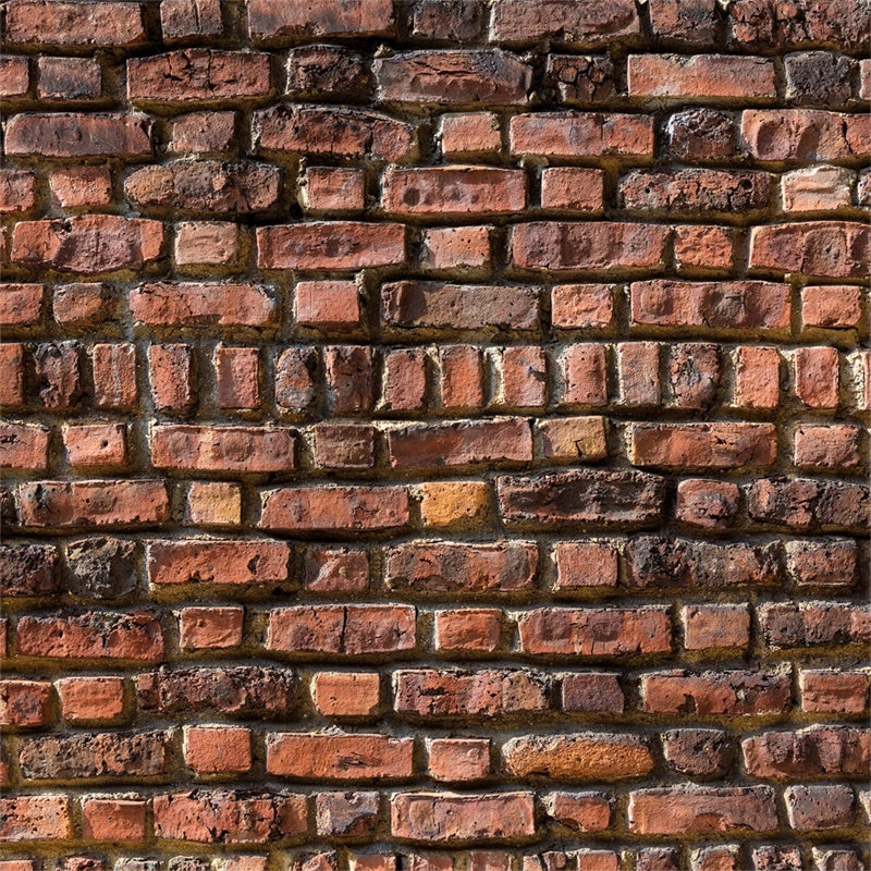 Backsteinmauer Fotohintergrund Heritage Rot Backstein Hintergrund CJJ3-3