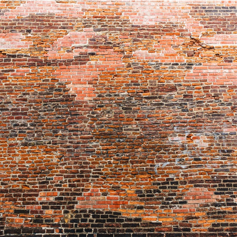 Backstein Backdrop Stoff Retro-Stil Variegated Brick Backdrop CJJ3-5