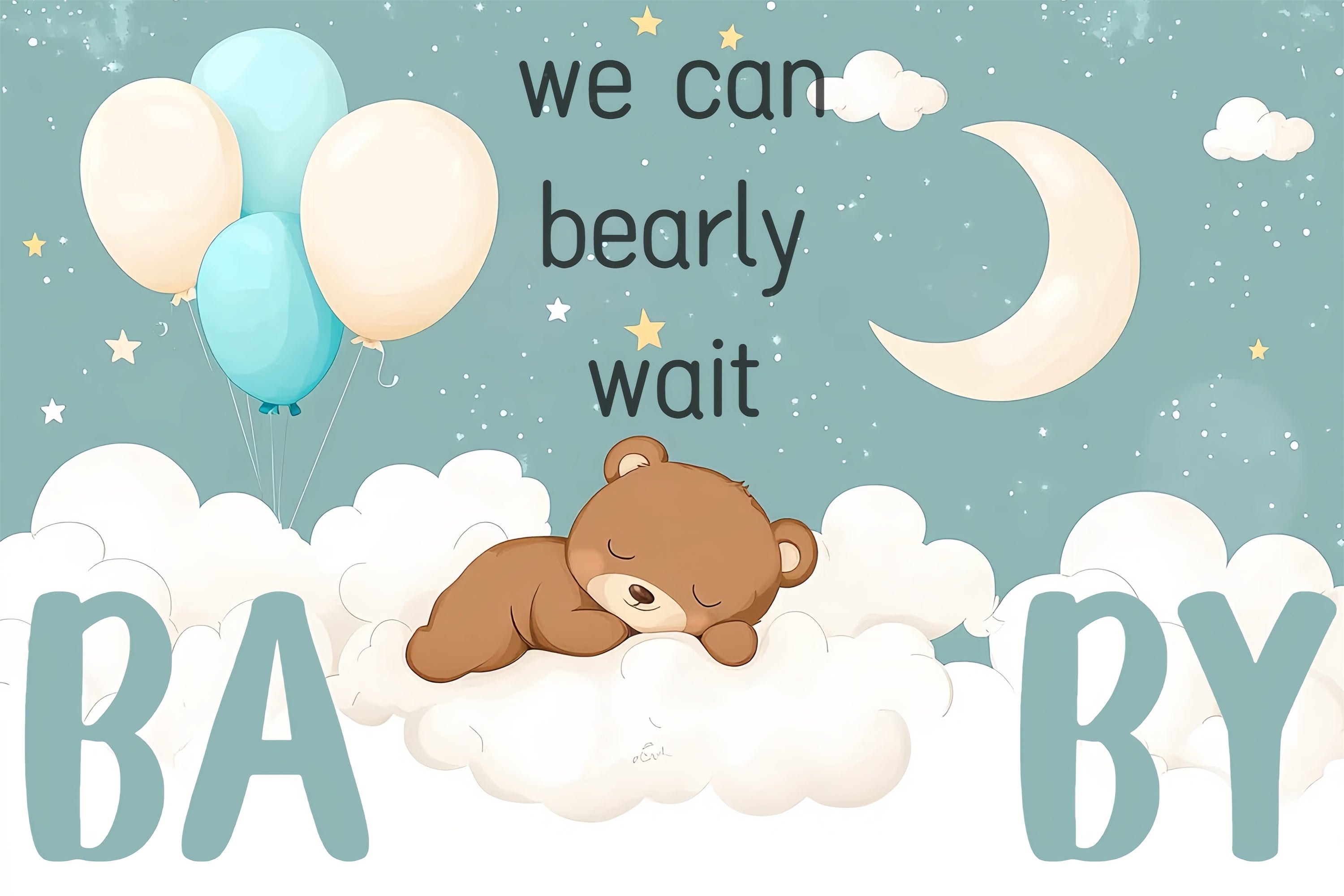 Cloud Backdrop Baby Shower Bär Ballon Hintergrund CSH2-165