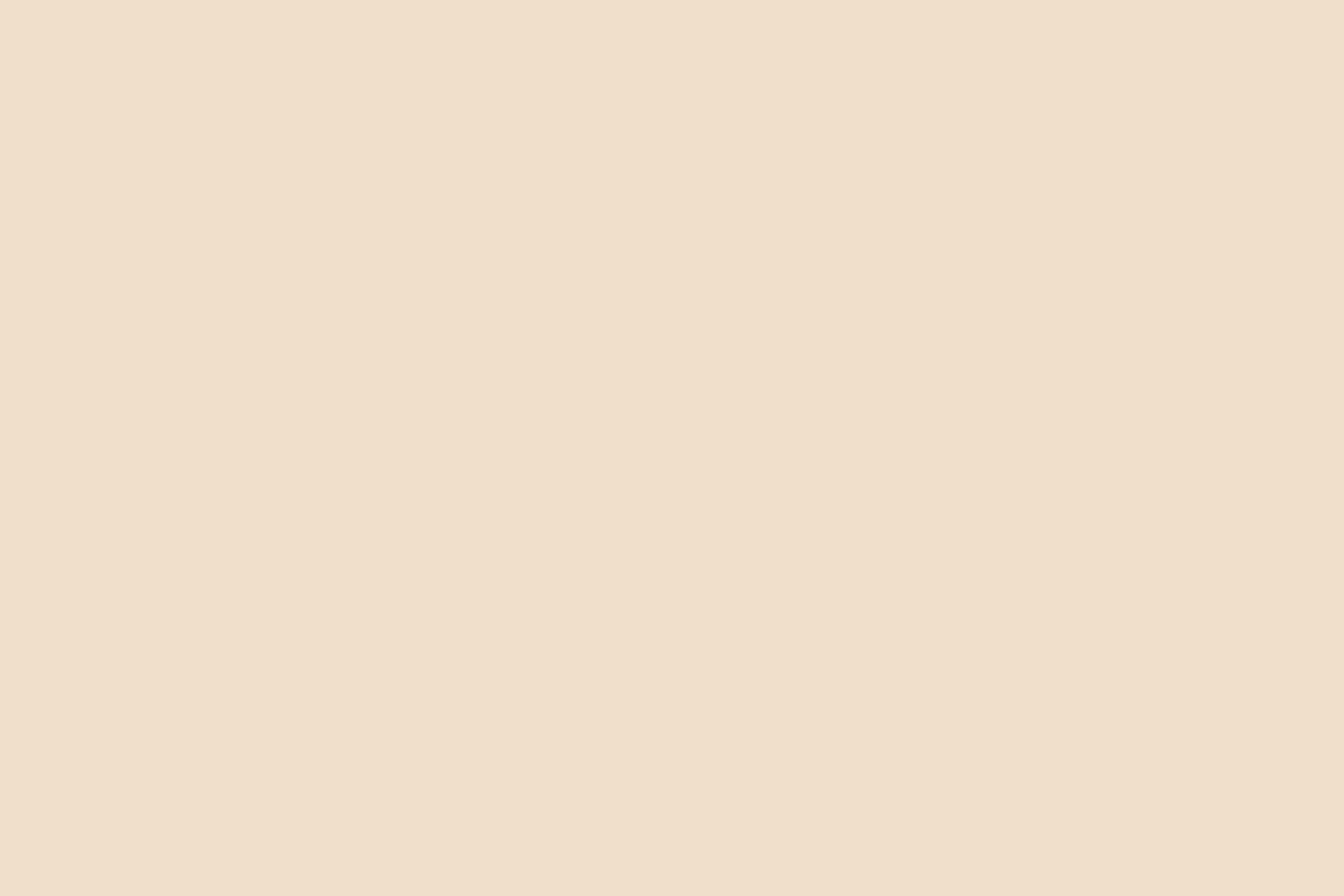 Einfarbige Kulissen Weiche cremefarbene Beige Kulisse CSH4-154