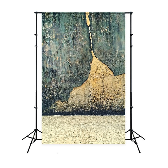 Porträt-Hintergrundbilder Distressed Cracked Texture Wall Backdrop CSH4-190