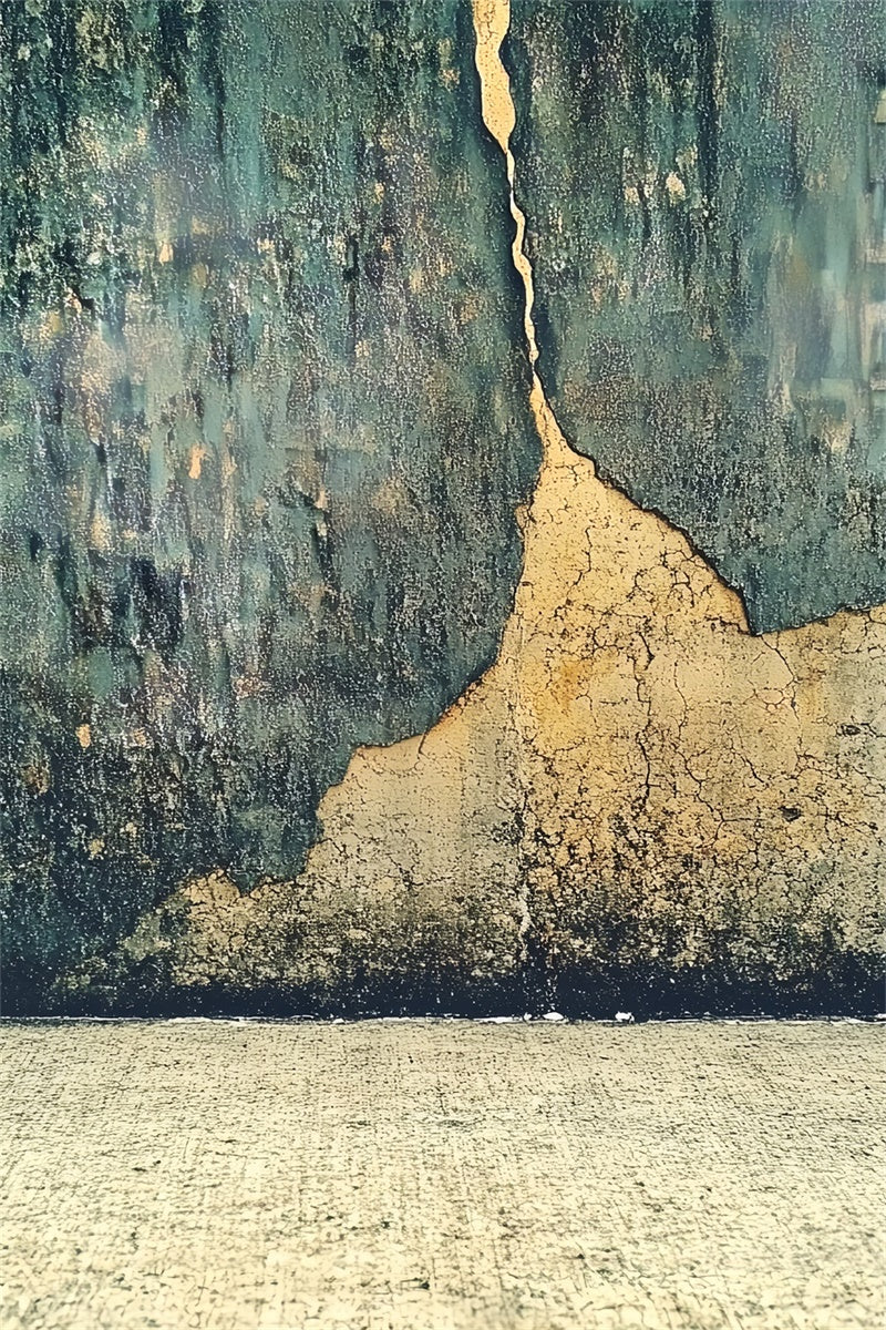 Porträt-Hintergrundbilder Distressed Cracked Texture Wall Backdrop CSH4-190