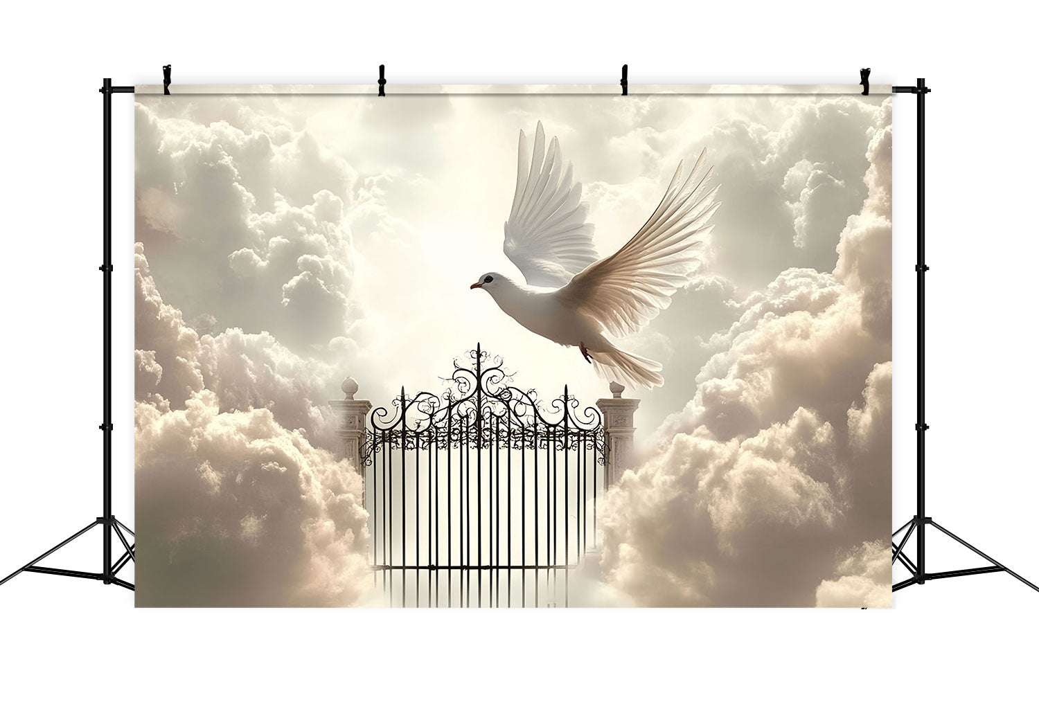 Wolke Fotohintergrund Himmelstore Taubenflug Hintergrund CSH4-234