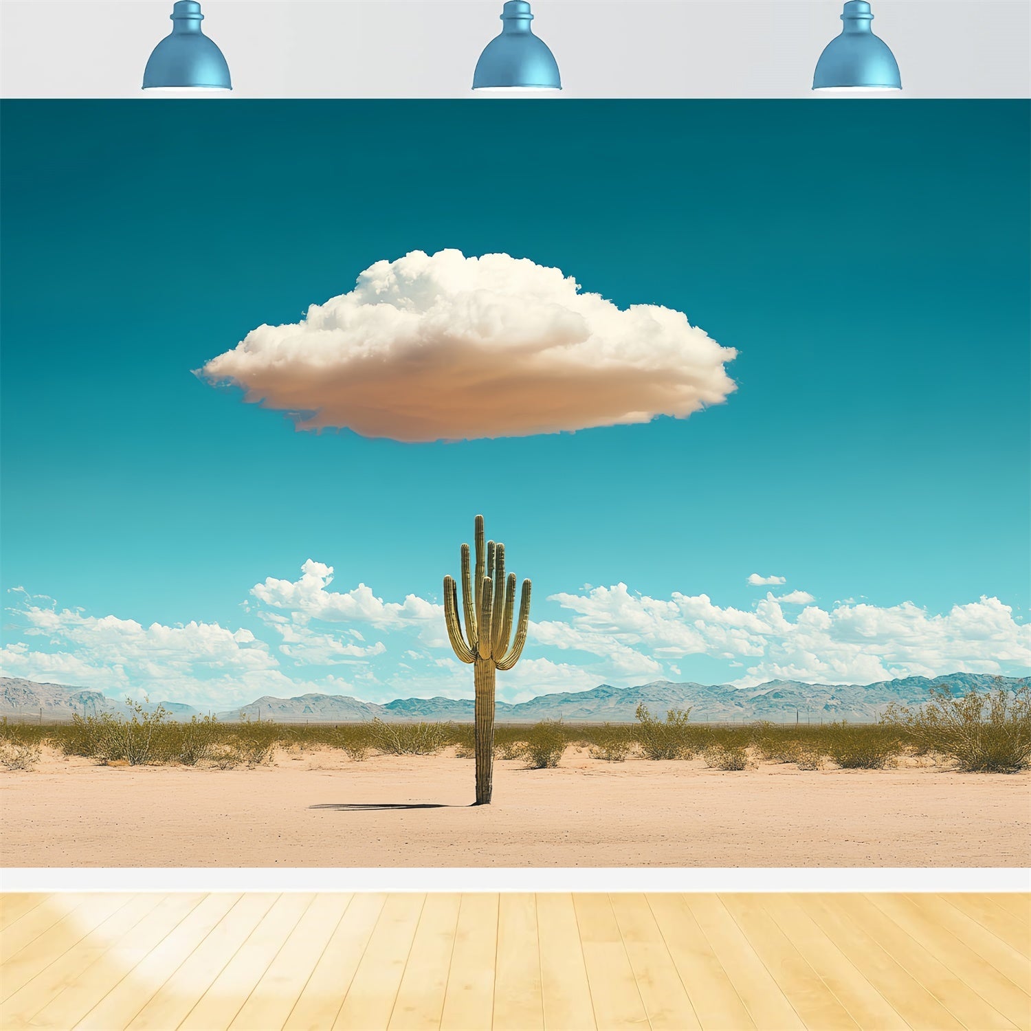 Blauer Himmel Fotohintergrund Wüste Kaktus Puffy Cloud Hintergrund CSH4-241