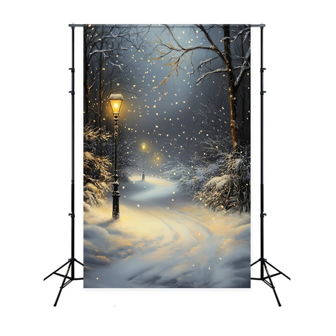 Winterwald Backdrops Schneefall Laternenpfad Fotohintergrund CSH57-151