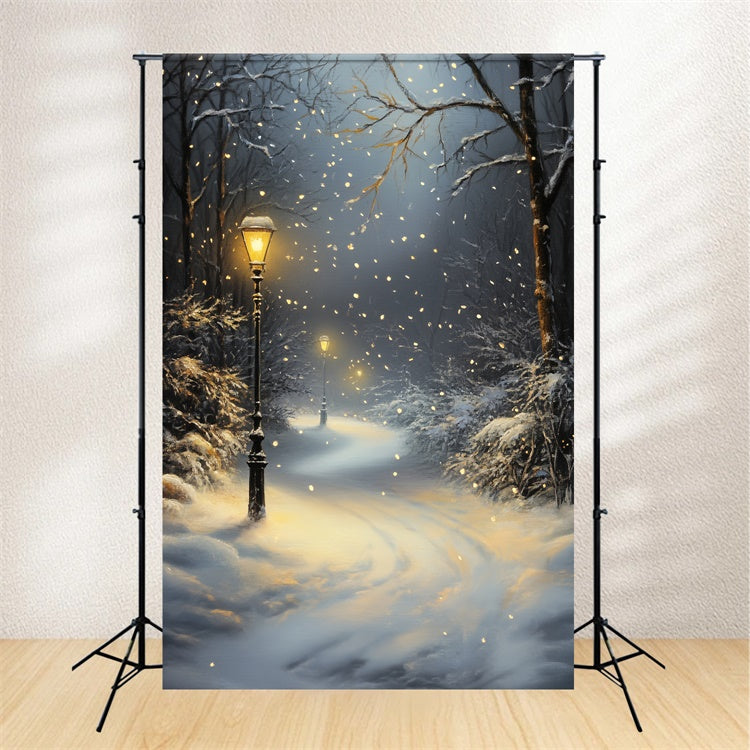 Winterwald Backdrops Schneefall Laternenpfad Fotohintergrund CSH57-151