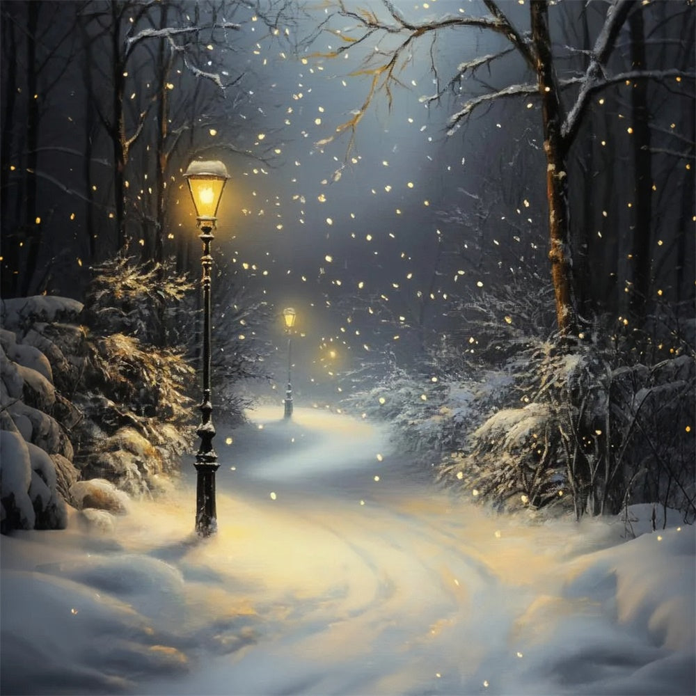 Winterwald Backdrops Schneefall Laternenpfad Fotohintergrund CSH57-151