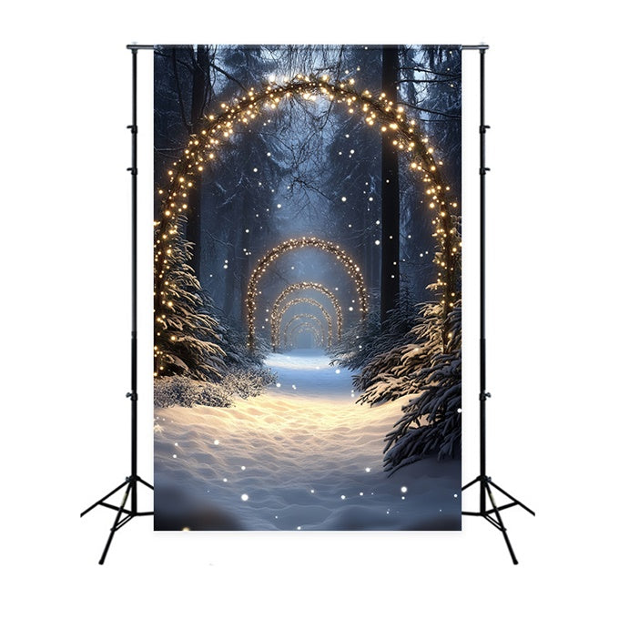 Schneewald Backdrop Enchanted Lighted Pathway Fotohintergrund CSH57-152
