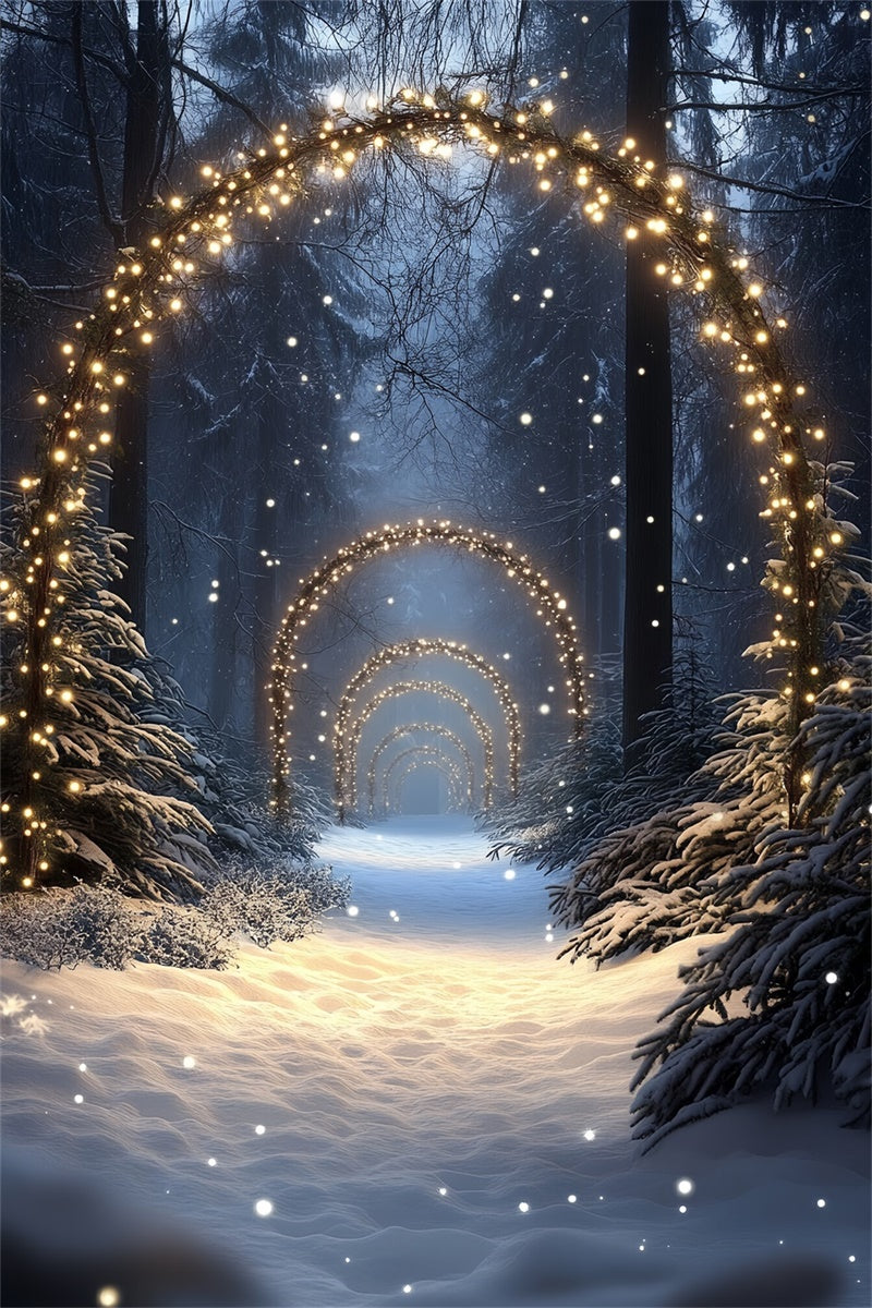 Schneewald Backdrop Enchanted Lighted Pathway Fotohintergrund CSH57-152