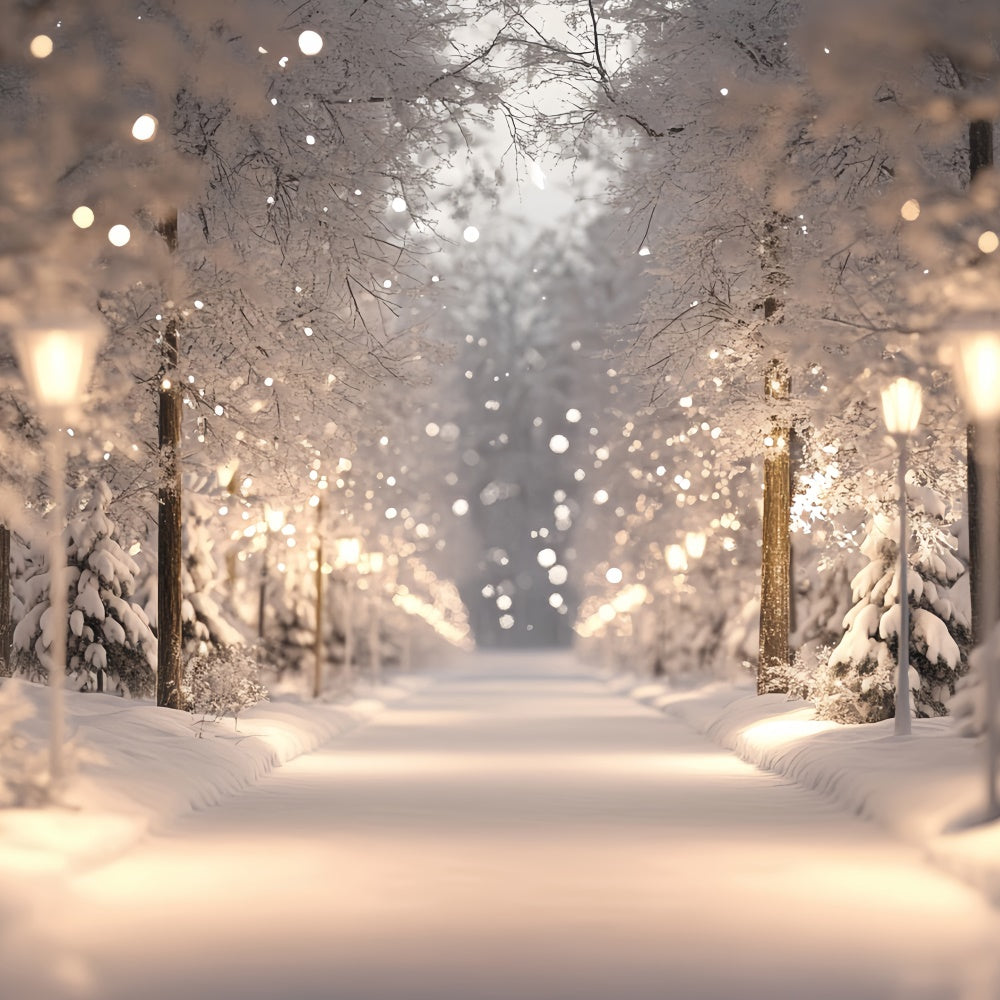 Verschneiter Wald Backdrop Winterlichter Wunderland Fotohintergrund CSH57-154