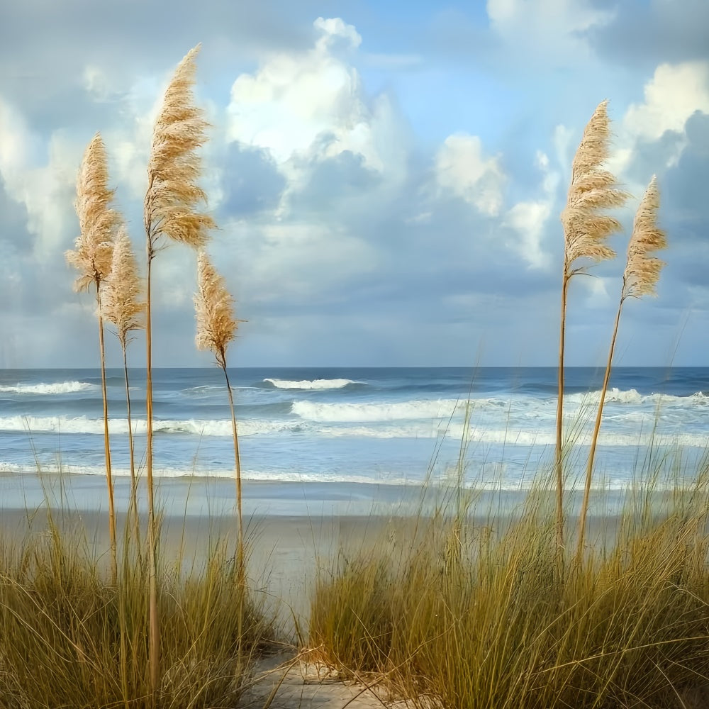 Fine Art Backdrop Coastal Whisper Breeze Video Fotohintergrund CSH57-275