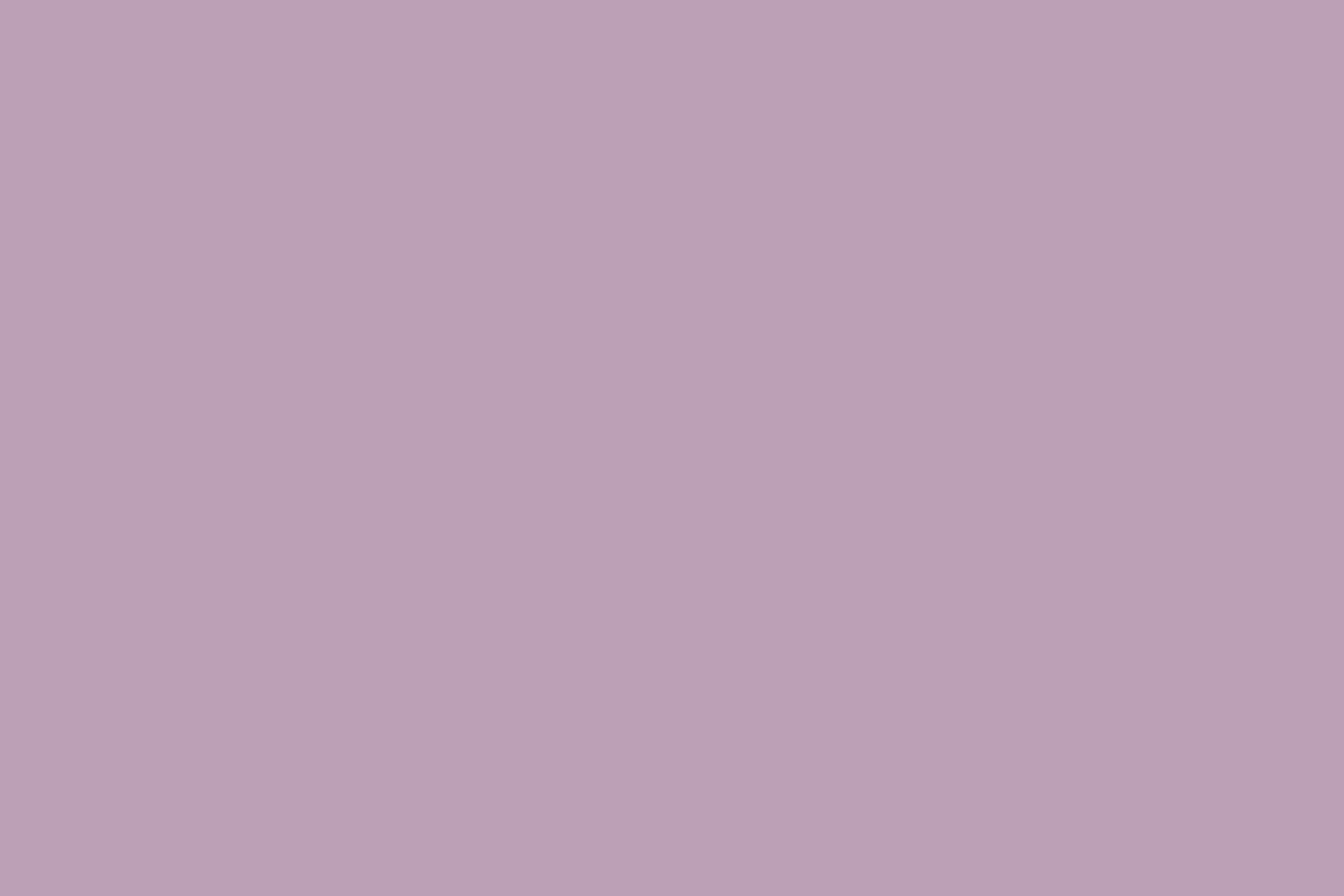 Hellvioletter Backdrop Dreamy Violet Sanfter Foto Hintergrund CSH57-318