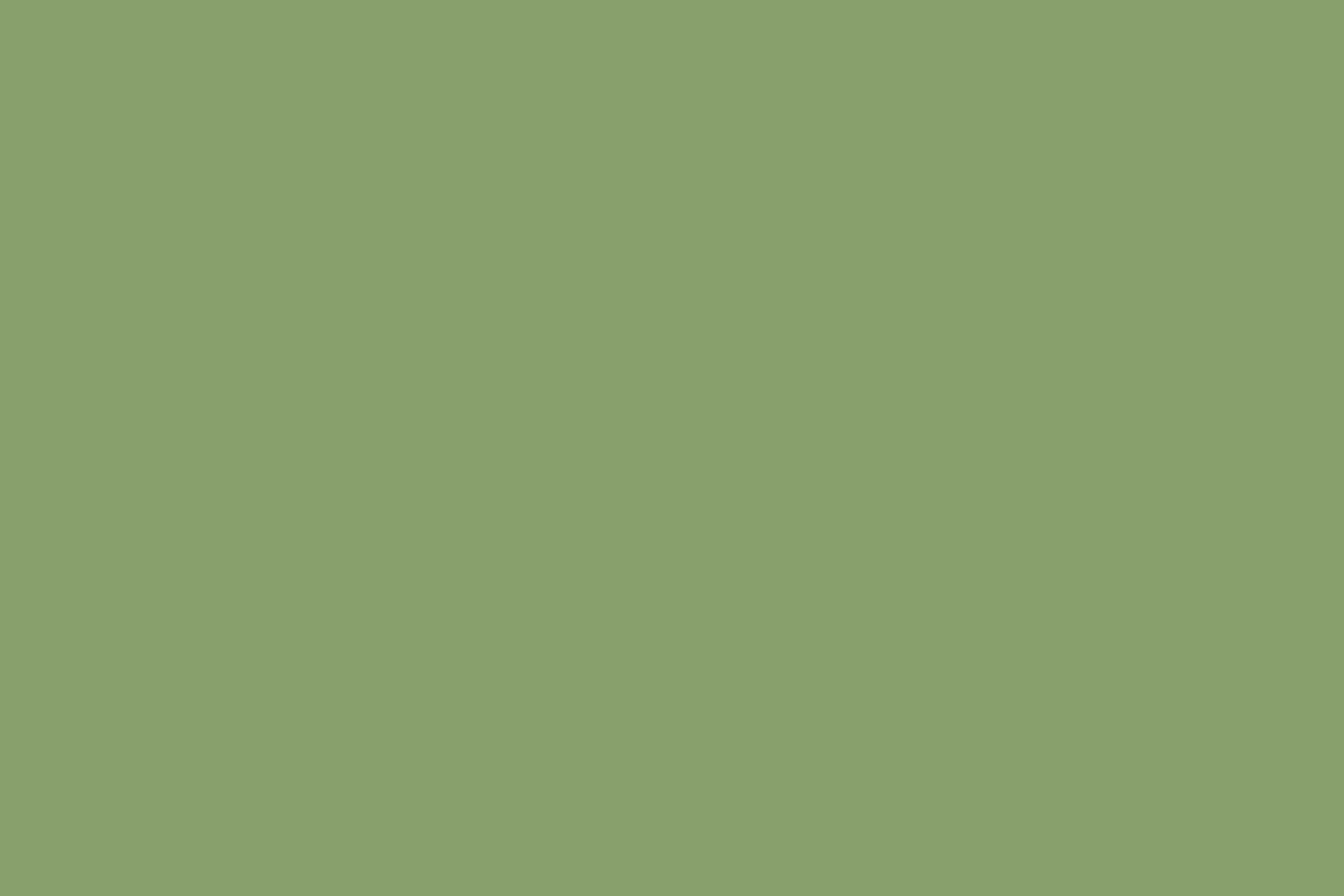 Grüner Fotohintergrund Bright Meadow Tint Backdrop CSH57-327