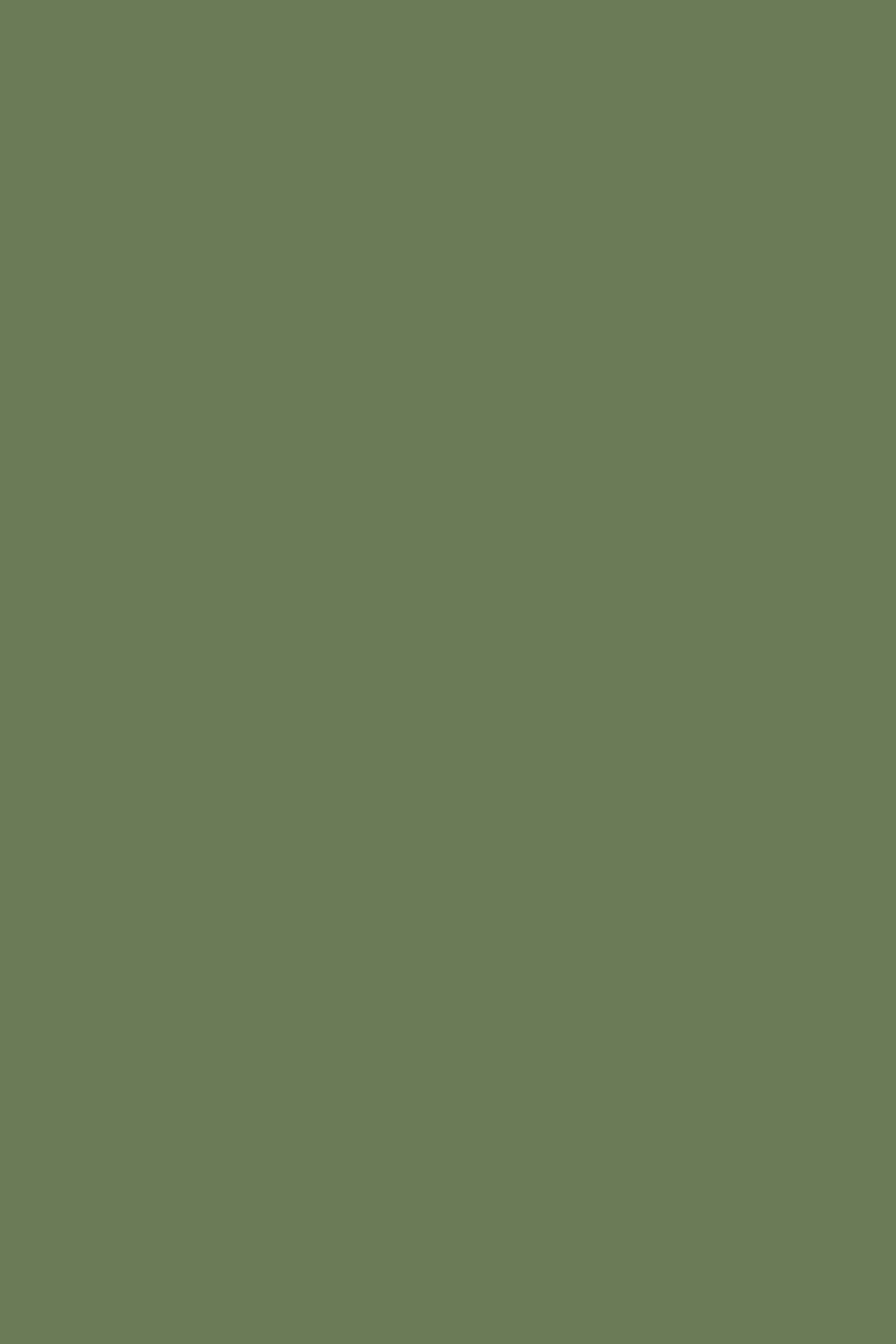 Grüner Fotohintergrund Dark Emerald Haze Backdrop CSH57-328