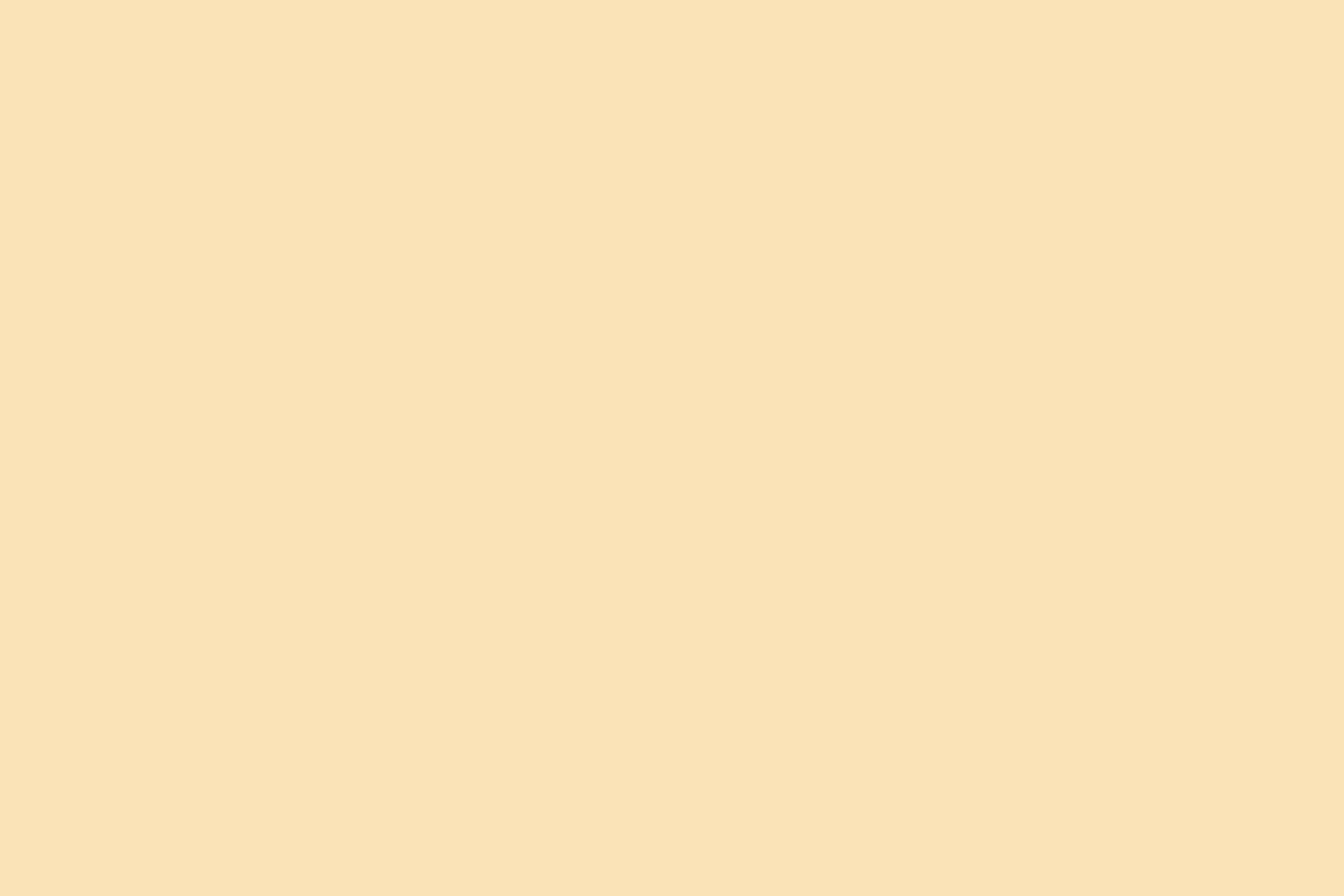 Volltonfarbe Backdrop Warm Ivory Cream Foto Hintergrund CSH57-329