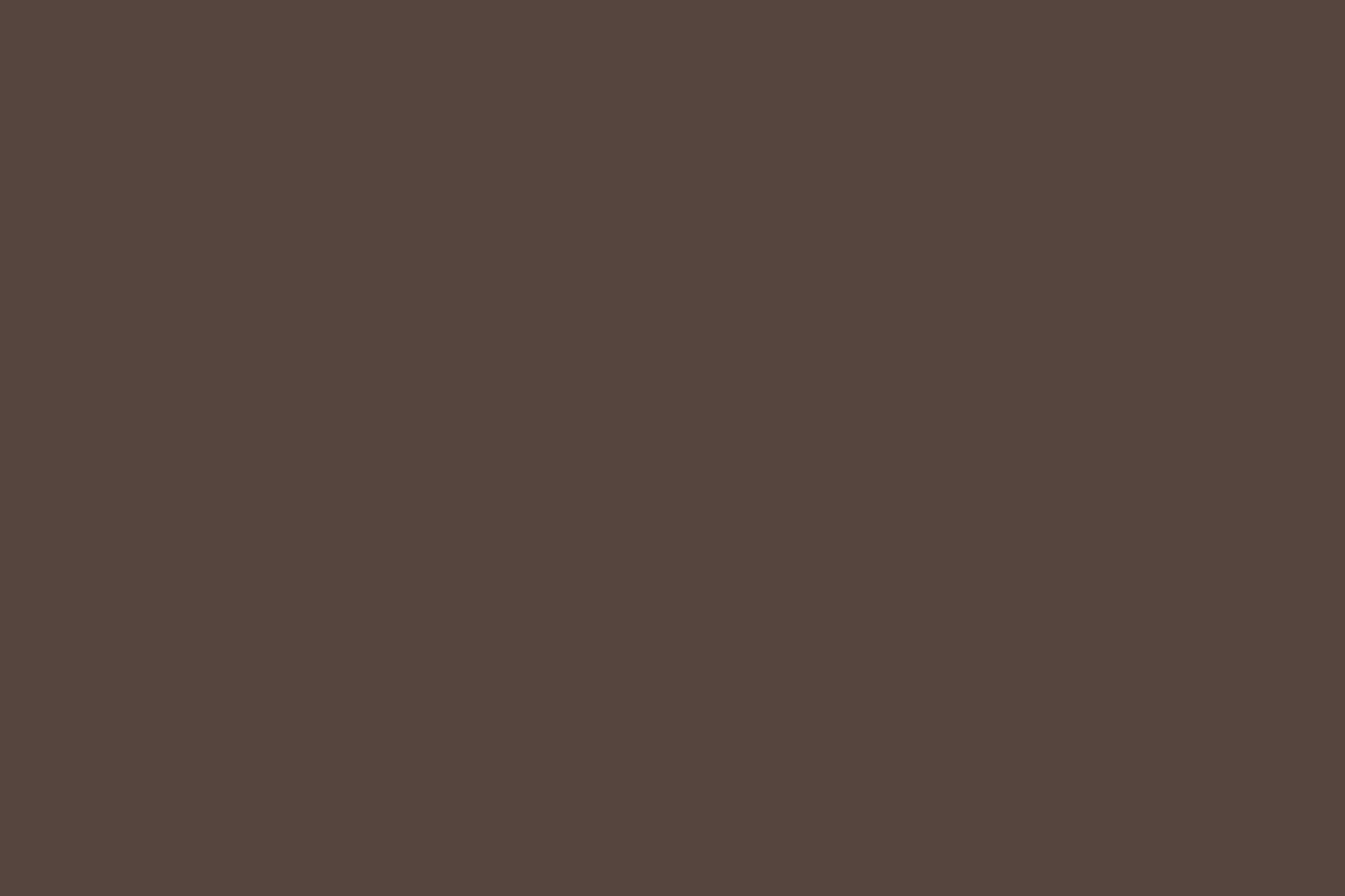Backdrop Volltonfarbe Rich Cocoa Wine Foto Hintergrund CSH57-340