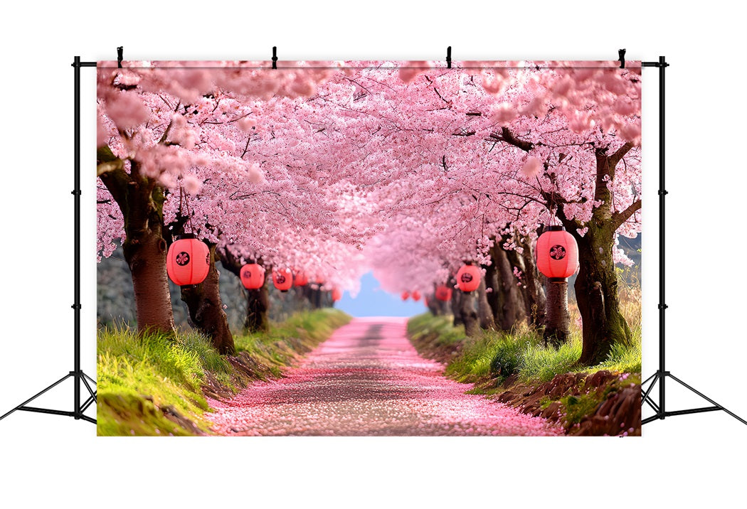 Kirschblüten-Foto Hintergrund Sakura Pathway Laternenreihen Frühlingsblumen-Foto Hintergrund CSH58-106