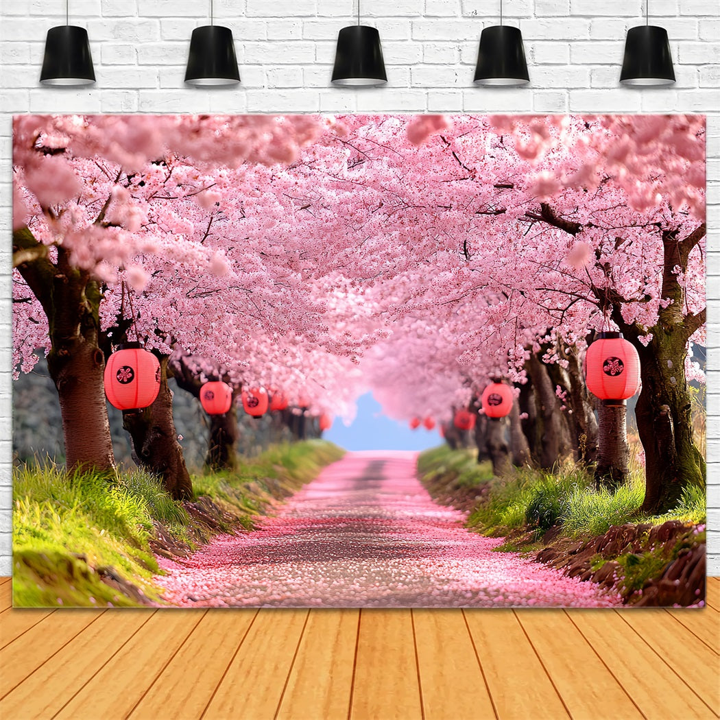 Kirschblüten-Foto Hintergrund Sakura Pathway Laternenreihen Frühlingsblumen-Foto Hintergrund CSH58-106