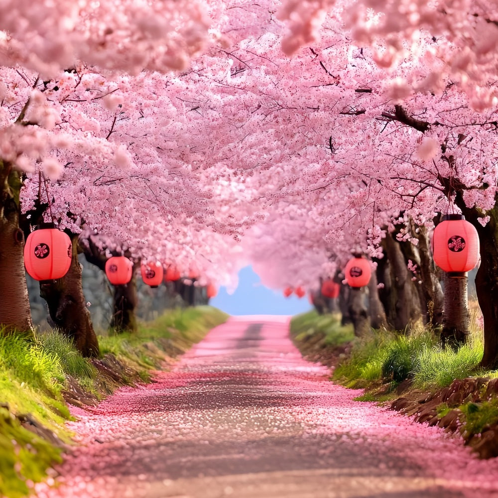 Kirschblüten-Foto Hintergrund Sakura Pathway Laternenreihen Frühlingsblumen-Foto Hintergrund CSH58-106