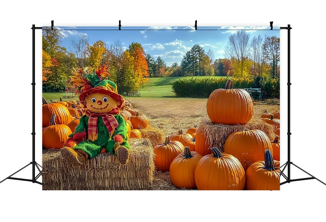 Herbstlicher rustikaler Hintergrund Vogelscheuche Kürbisbeet Feld Herbst Foto Hintergrund CSH58-225