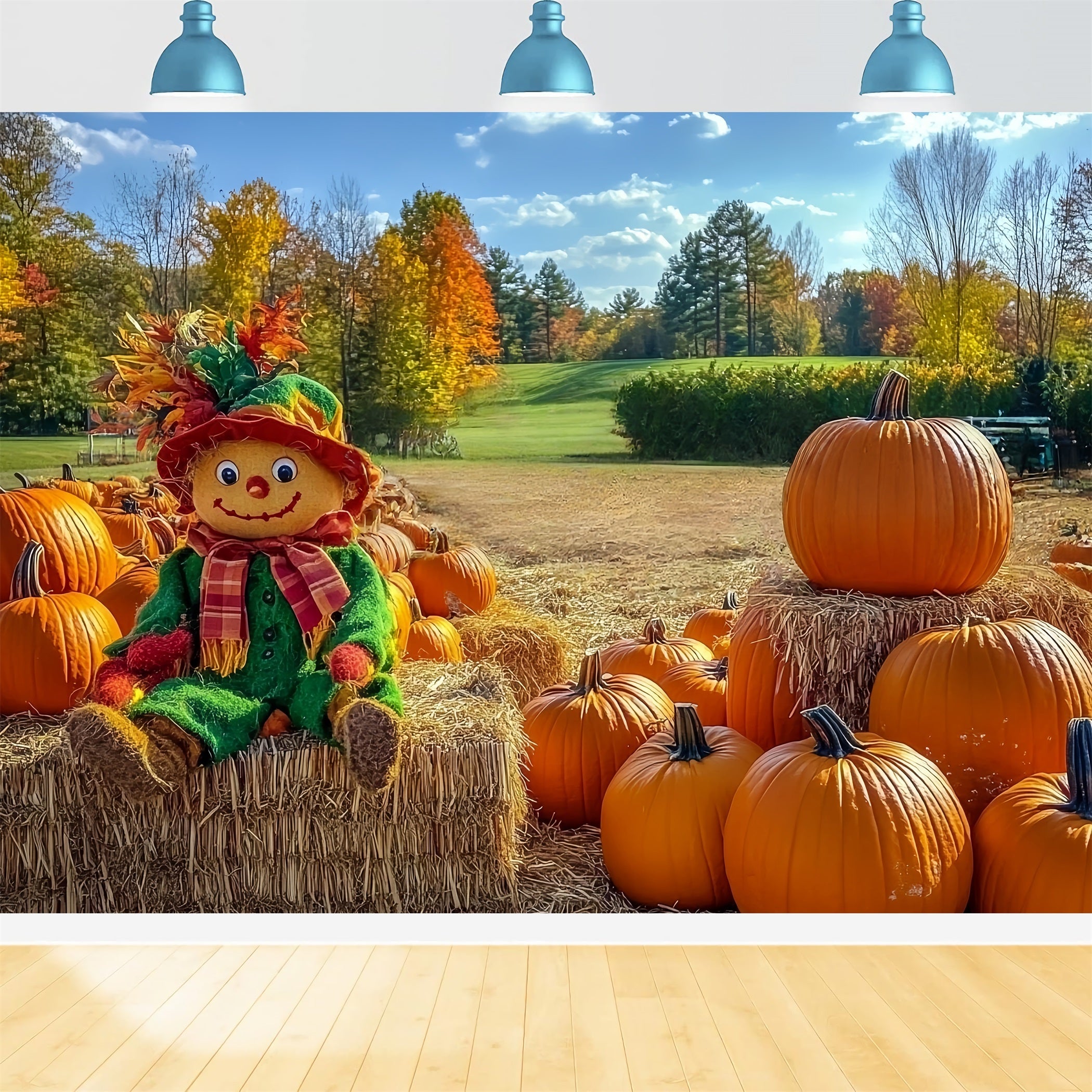 Herbstlicher rustikaler Hintergrund Vogelscheuche Kürbisbeet Feld Herbst Foto Hintergrund CSH58-225