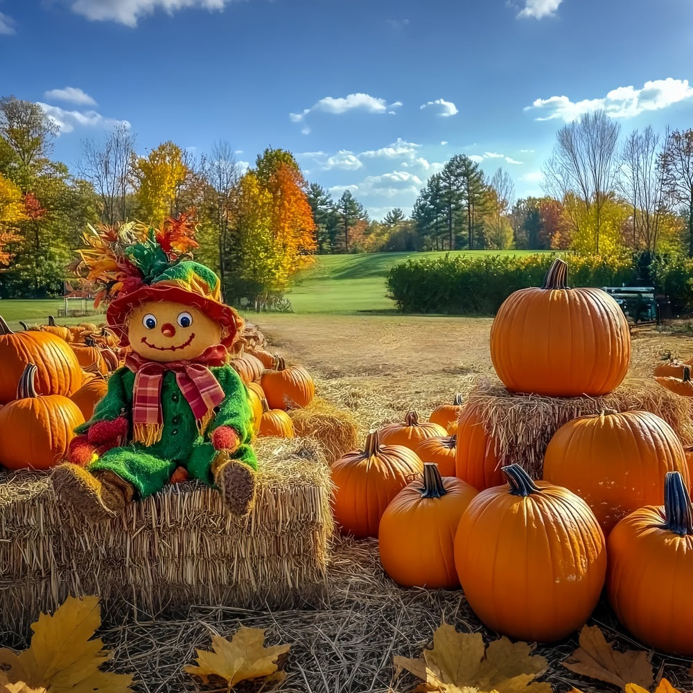 Herbstlicher rustikaler Hintergrund Vogelscheuche Kürbisbeet Feld Herbst Foto Hintergrund CSH58-225