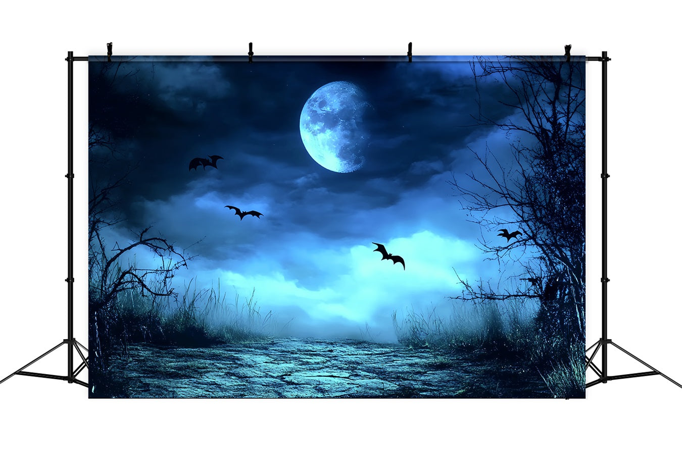 Nachthimmel Backdrop Blauer Nebel Gespenstischer Pfad Halloween Fotohintergrund CSH58-83